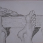 page17-1014-full.html